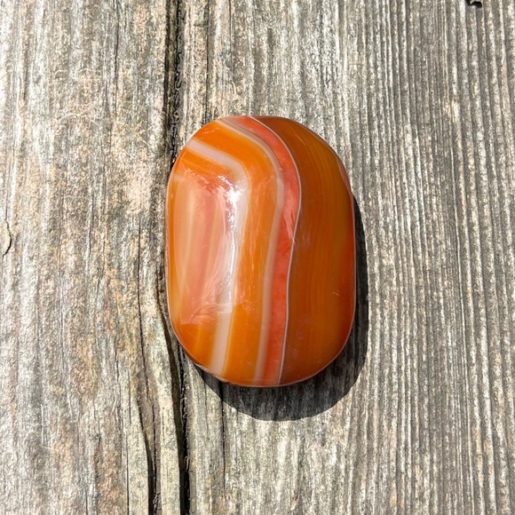 Carnelian Palm - Picture 6 of 6